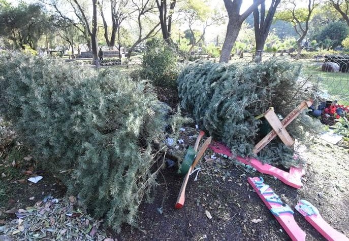 Habilitan contenedores para desechar pinos navideños