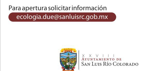 Las licencias de funcionamiento se pueden renovarse por internet