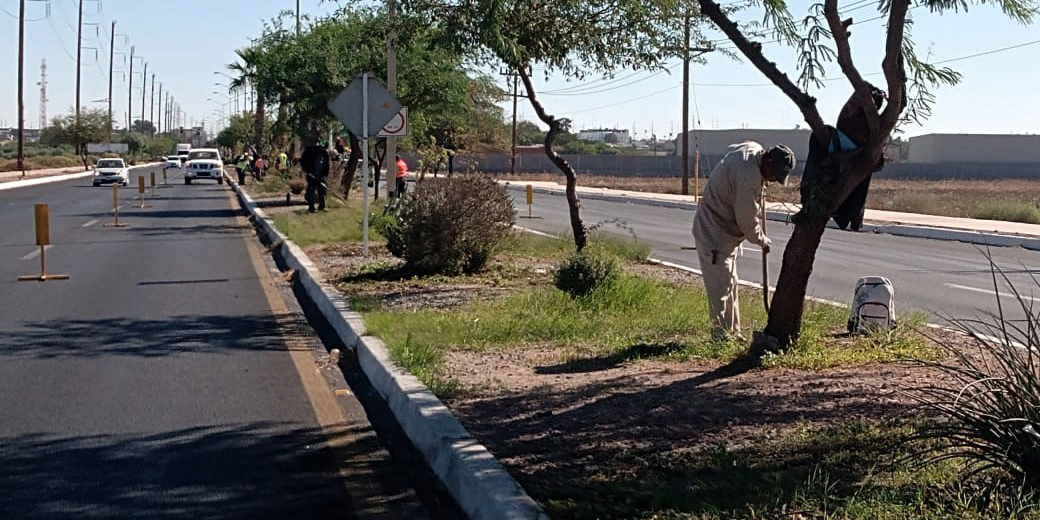 Trabaja Obras Públicas en mantener limpia la ciudad