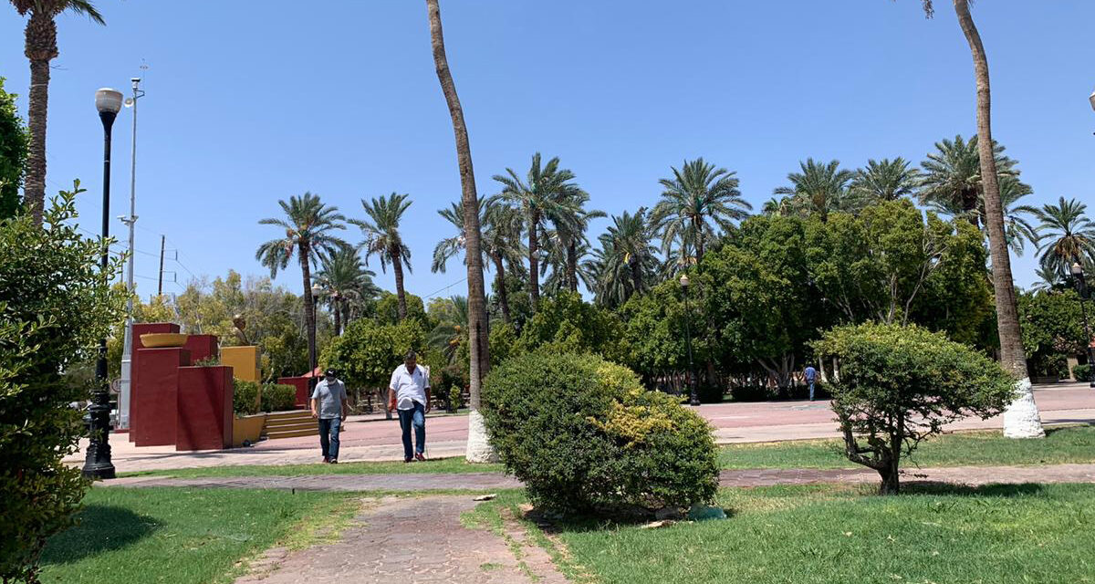 Pronostican días parcialmente nublados en SLRC