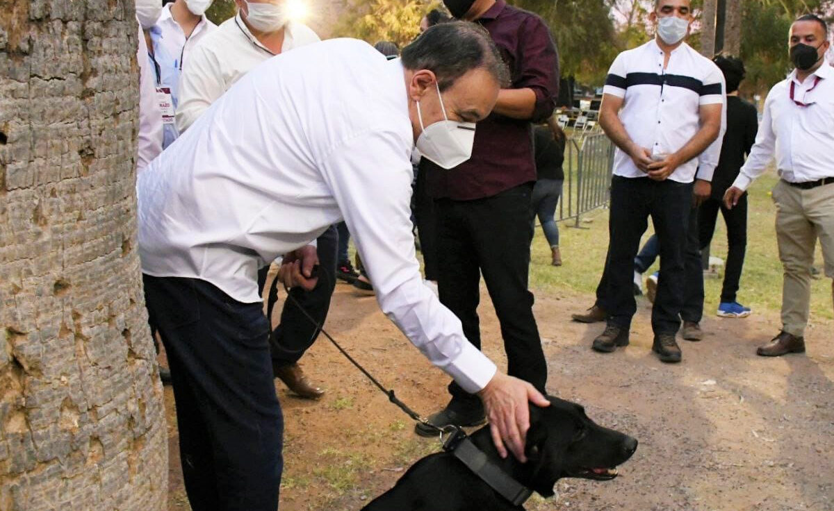 Propone Durazo veterinarias públicas para atender animales de la calle