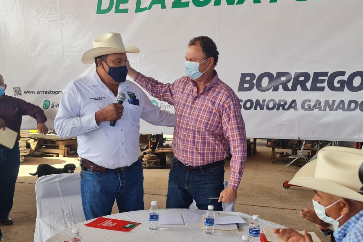 “El Borrego” visita la región del Mayo