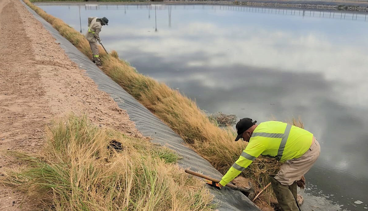 Da Oomapas mantenimiento a bordos de planta tratadora de SLRC