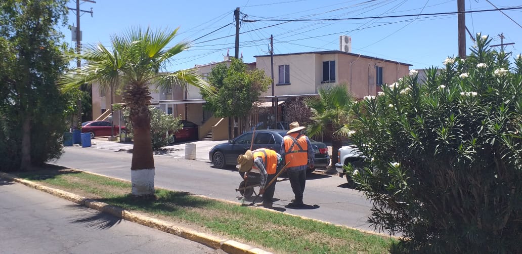 Continúa Obras Públicas con actividades de limpieza