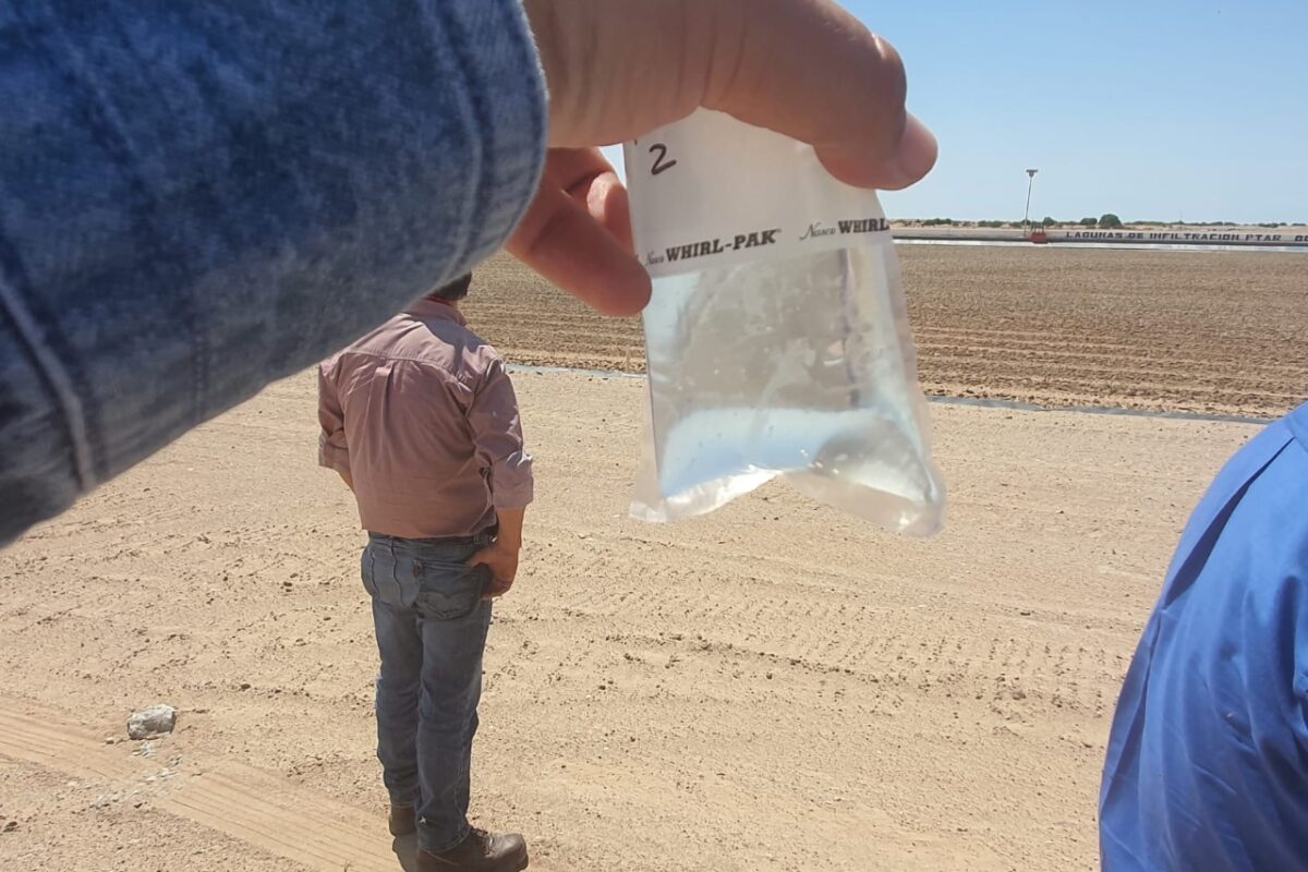 Supervisa Oomapas muestreos de agua tratada en PTAR Cucapá