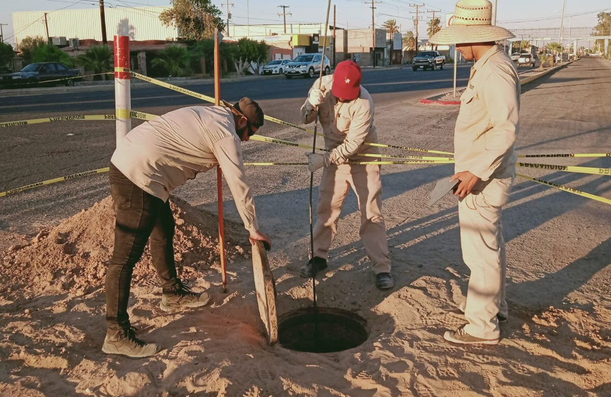 Verifica Oomapas funcionamiento de colectores