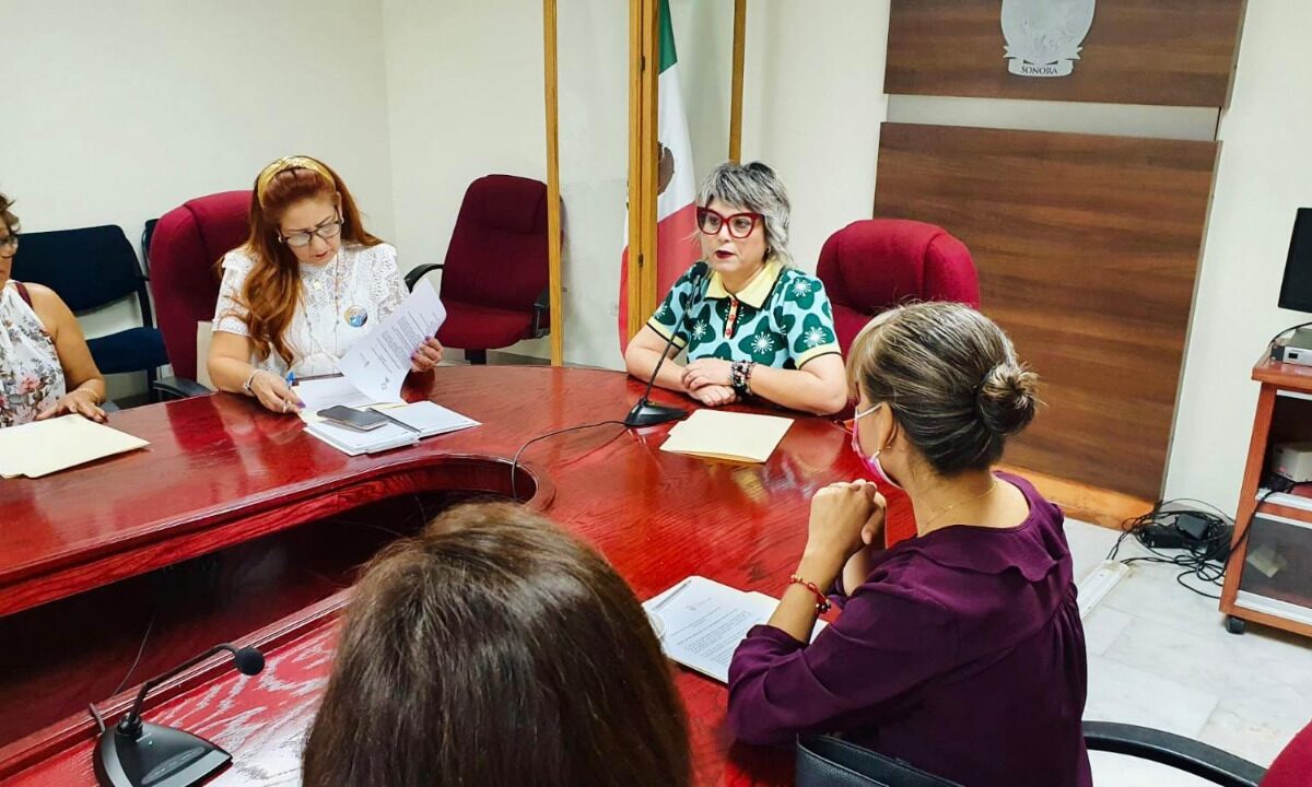Festival Tierra Sonora llevará el sello de mujeres del 29 Ayuntamiento