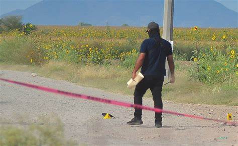 Encuentran en el Valle de SLRC parte de un cuerpo humano entre unas parcelas