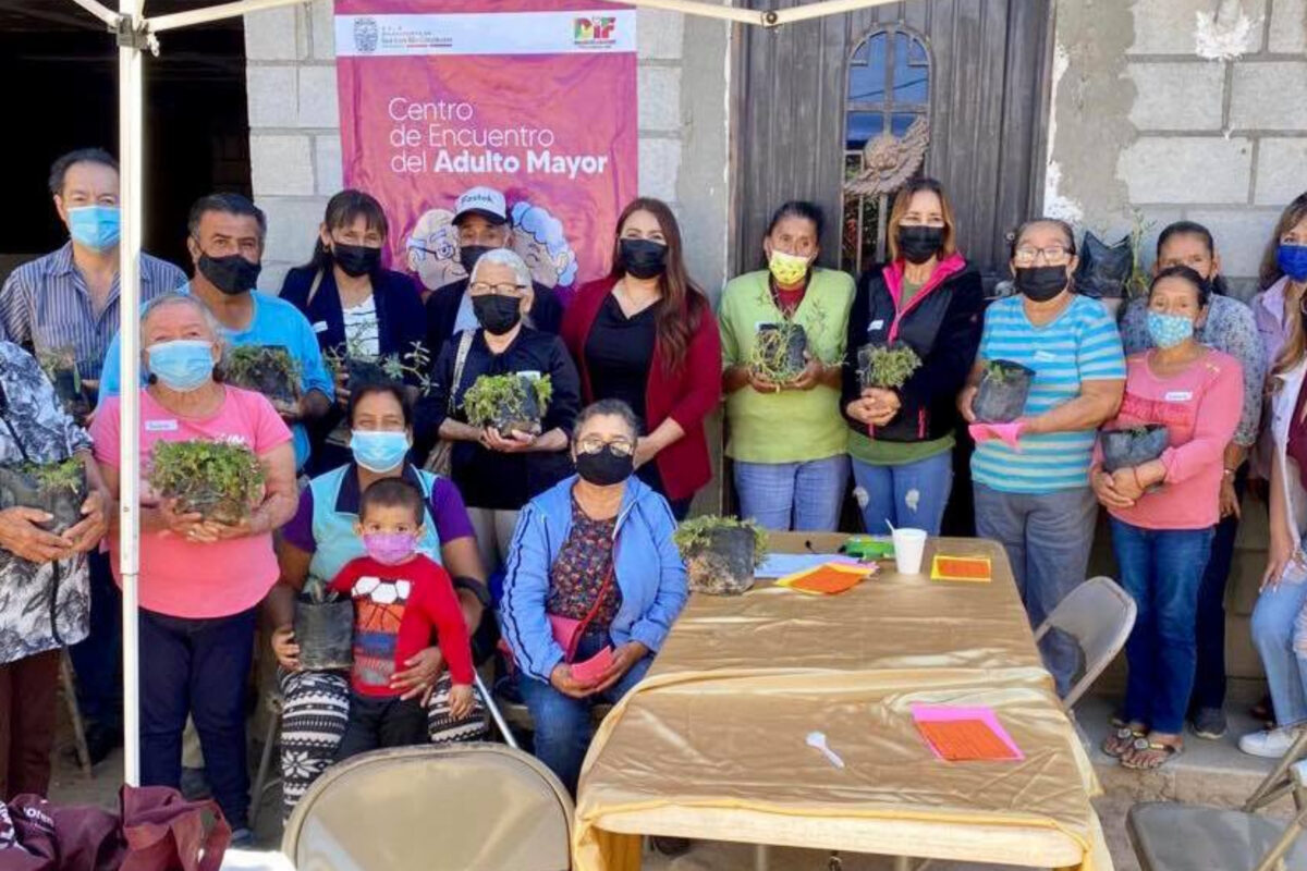 Tiene DIF Municipal diversos programas  para adultos mayores