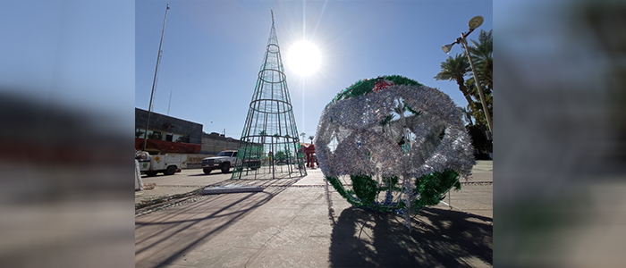 Hoy es el encendido del árbol navideño en la explanada