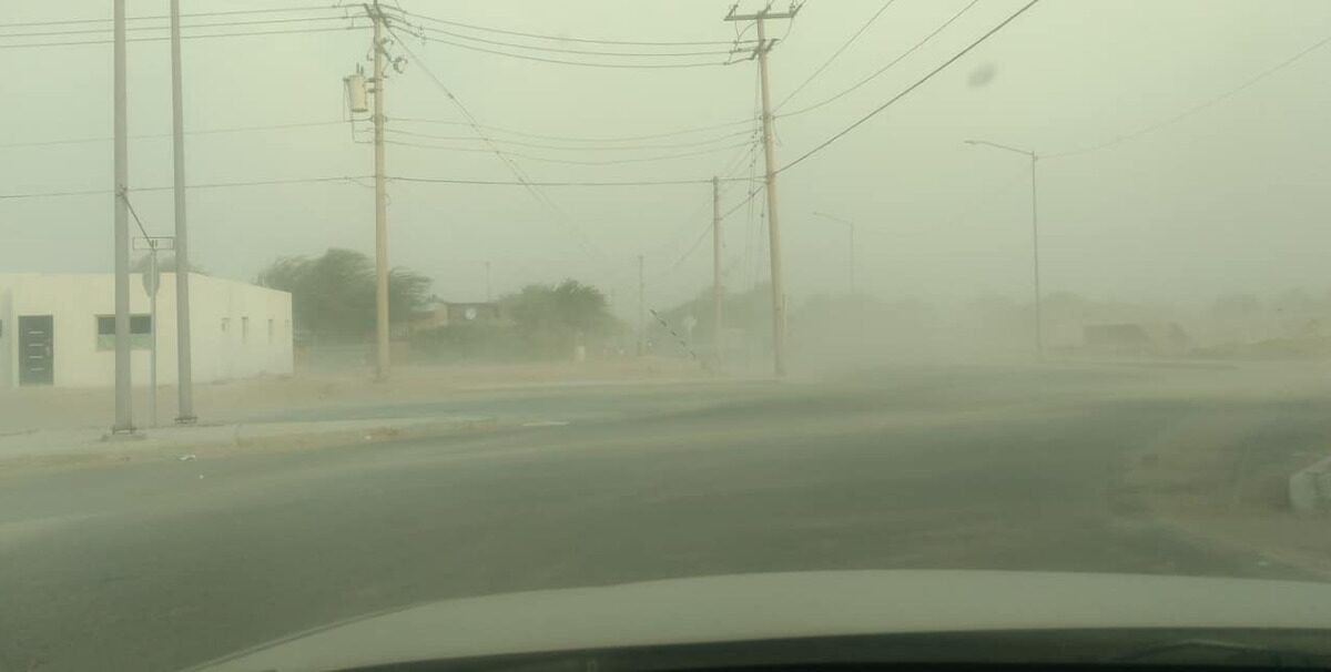 Advierte PCM protegerse de fuertes vientos este fin de semana en SLRC