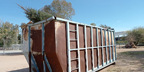 Continúan abiertos centros de acopio para arbolitos