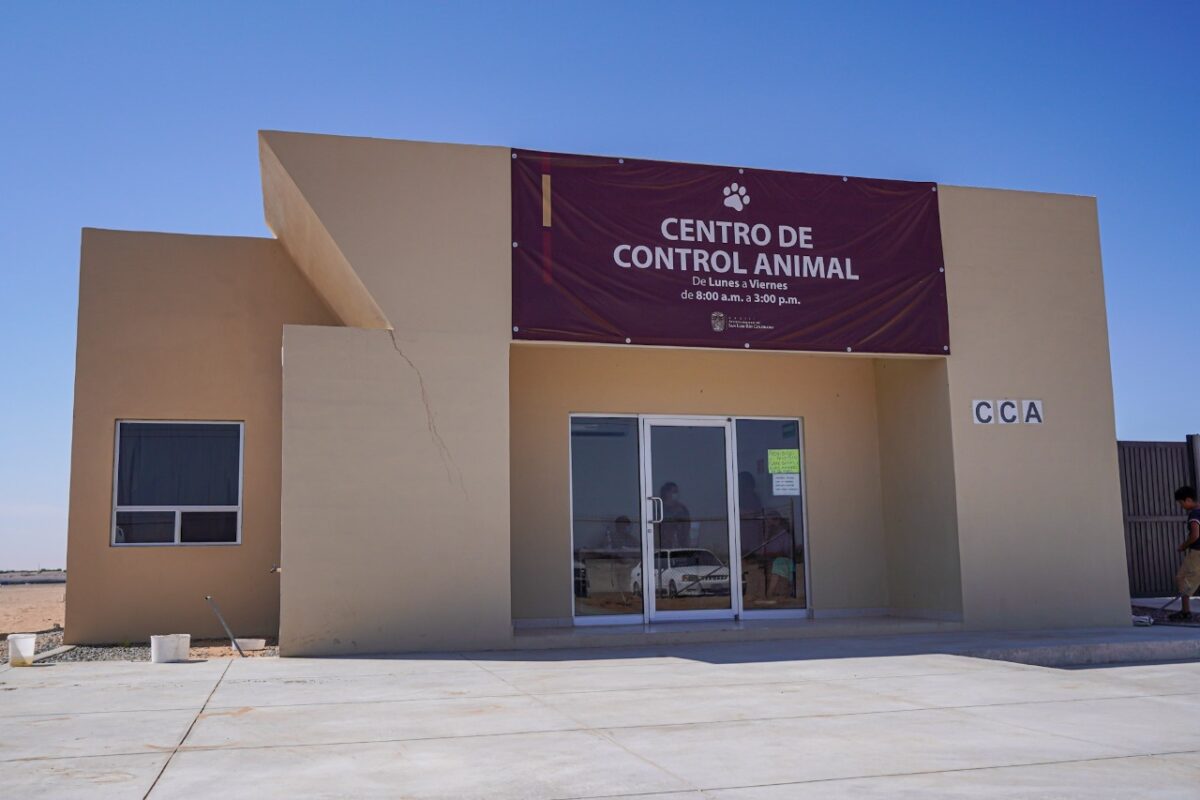 Solicita Salud Pública veterinario para CCA