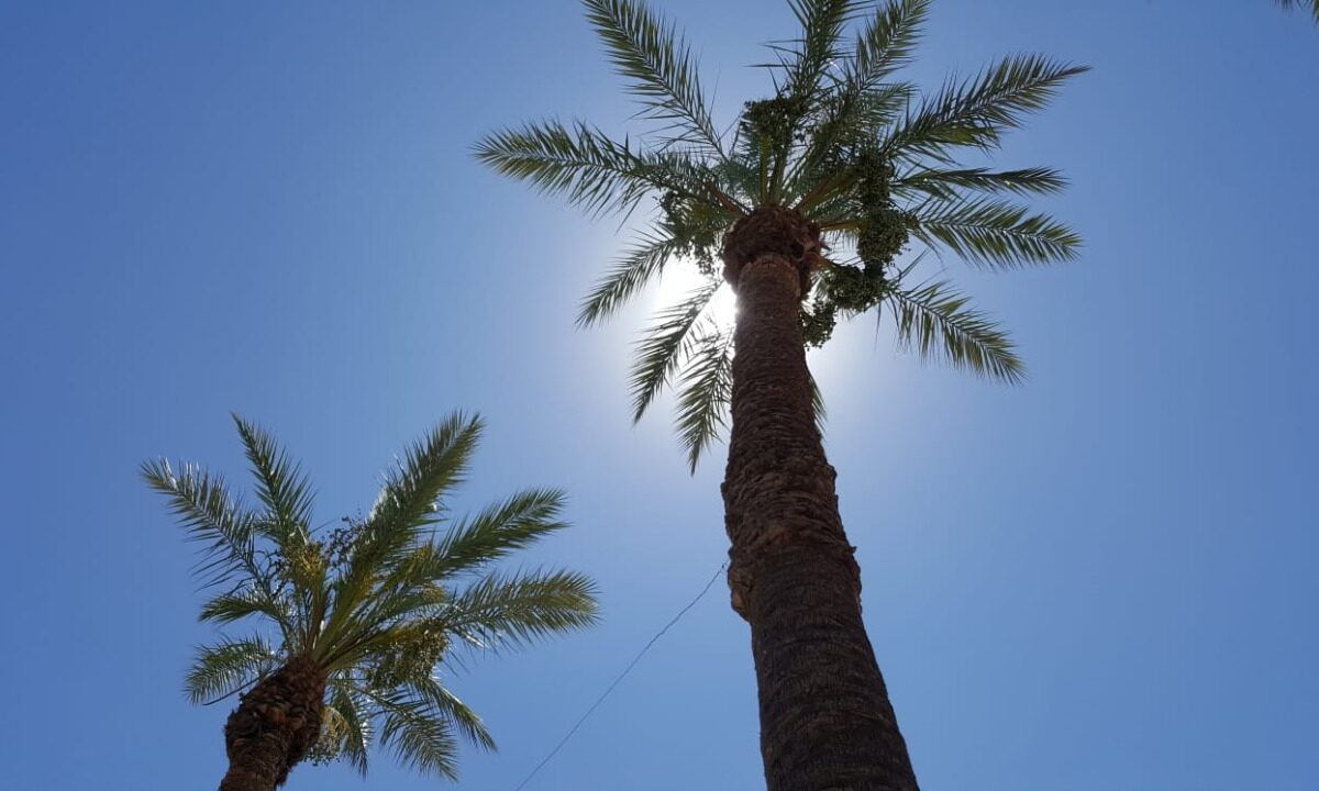 Seguirán las altas temperaturas en SLRC