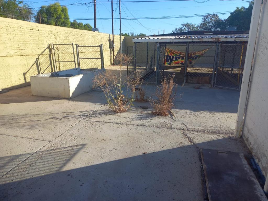 Da Salud Pública mantenimiento a viejas instalaciones del CCA