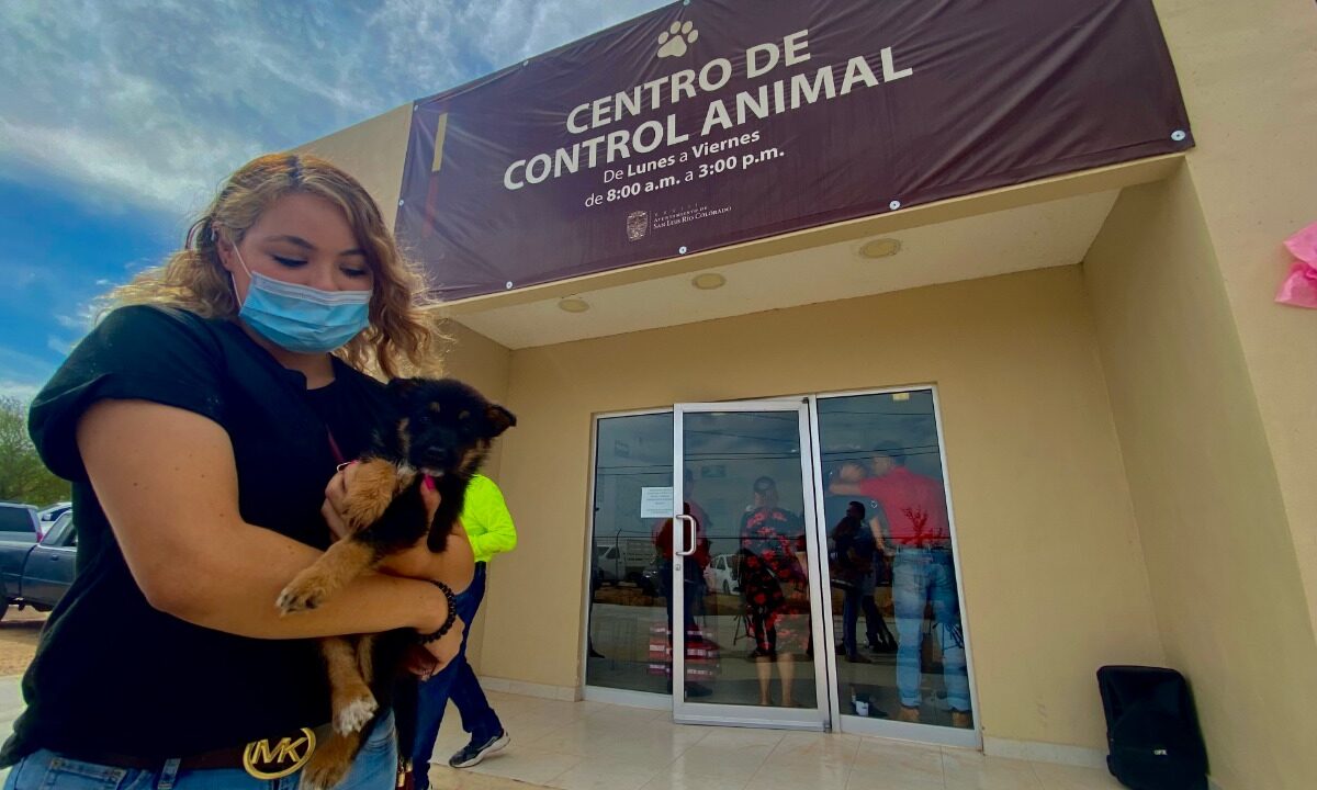 Promueven tenencia responsable de mascotas en Feria de Salud Canina 2022