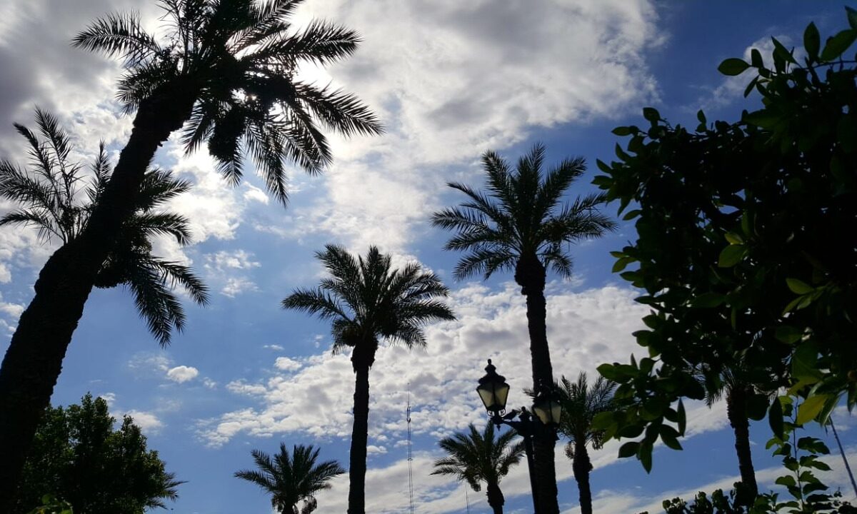 Recomiendan seguir cuidándonos de las altas temperaturas en SLRC