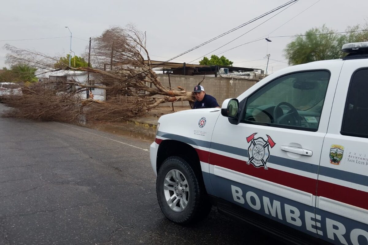Auxilia PCM en incidentes por lluvias este fin de semana en SLRC