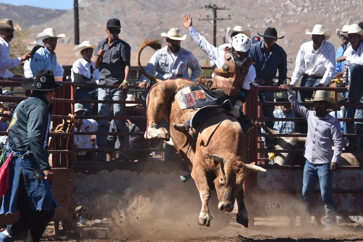 Finales Estatales de Rodeo para beneficio de DIF Municipal