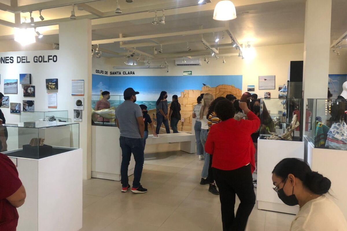 Sala Audiovisual del Museo Regional, un espacio para todos