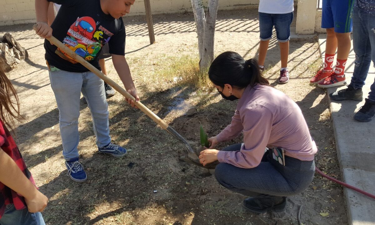 Fomenta Desarrollo Urbano reforestación en alumnos de SLRC