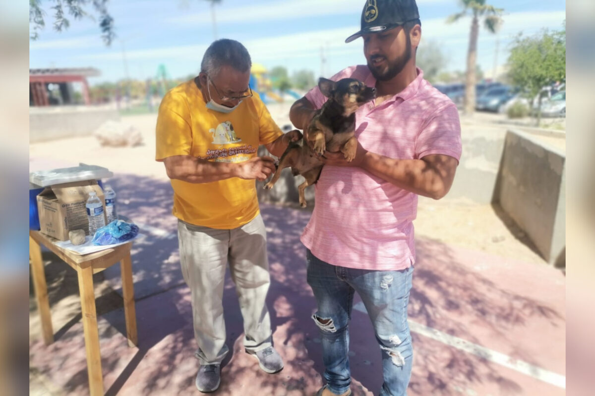 Inicia este domingo 2da. Jornada de Vacunación Antirrábica en SLRC
