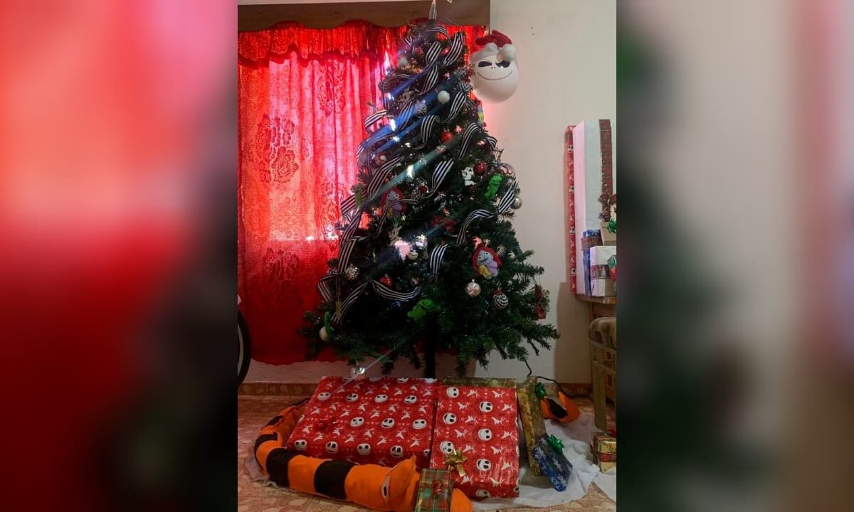 Llaman a tener cuidado con extensiones en arbolitos navideños