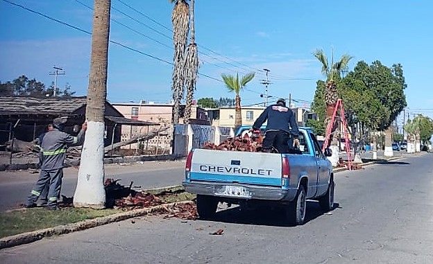 Continúa Ayuntamiento de SLRC mantenimiento a espacios públicos