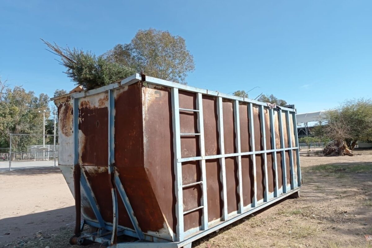 Ya abiertos centros de acopio para arbolitos en SLRC