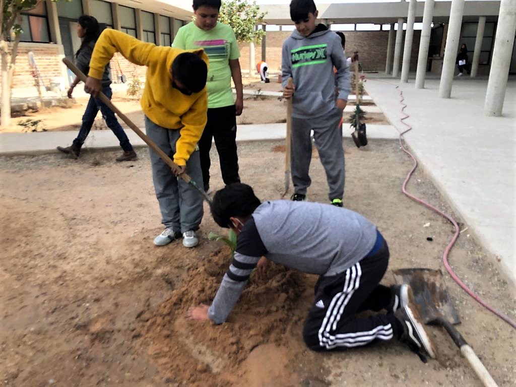 Lleva Ecología reforestación a primaria Nueva Creación de SLRC