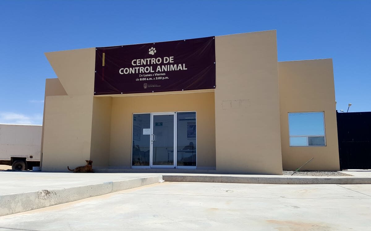 Buscan veterinario para CCA de SLRC