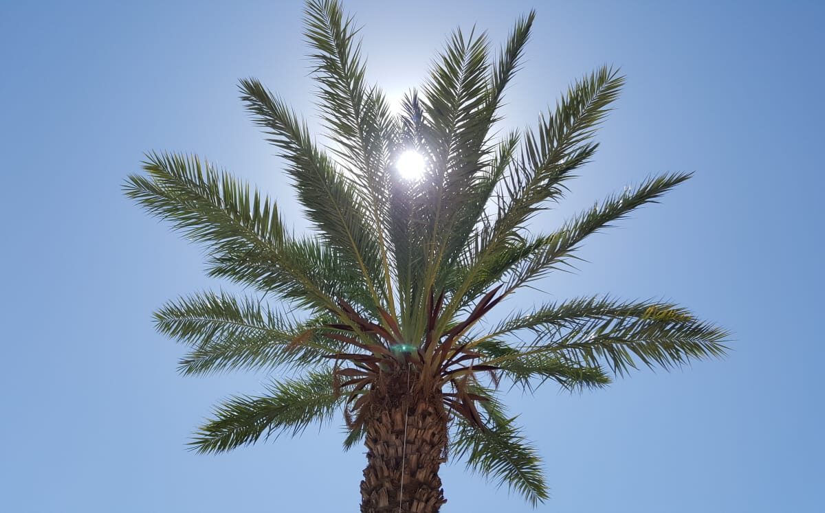 Anuncia PC aumento de temperaturas esta semana en SLRC