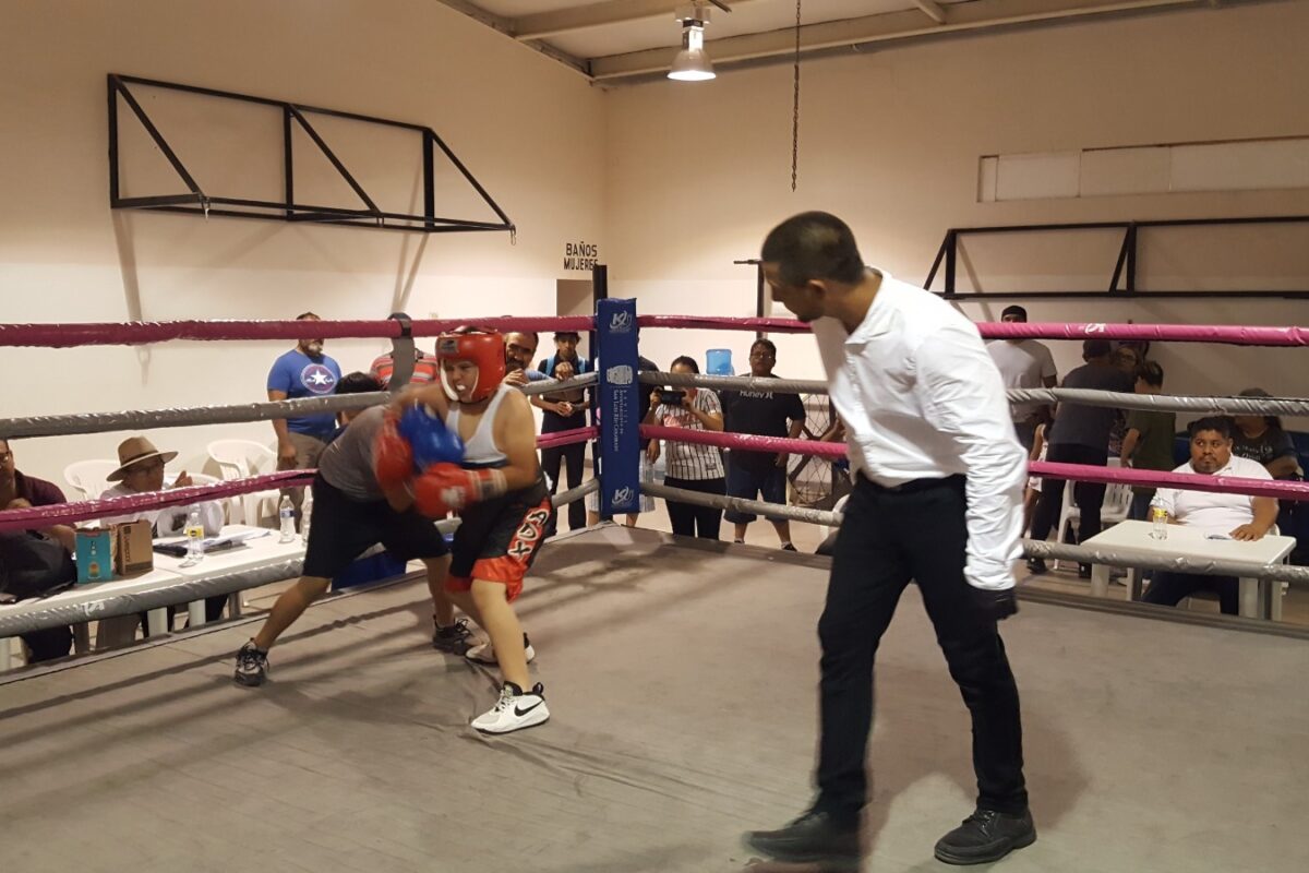 Actualizarán a jueces y réferis sobre reglamento de box