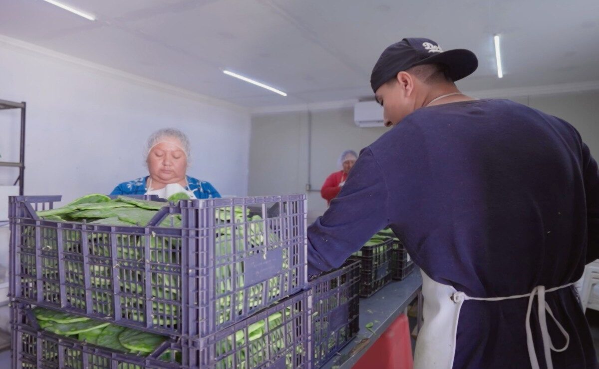 Son más de 100 emprendedores apoyados por Oprode