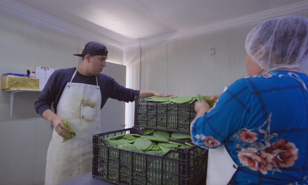 Lanza Oprode campaña de casos de éxito