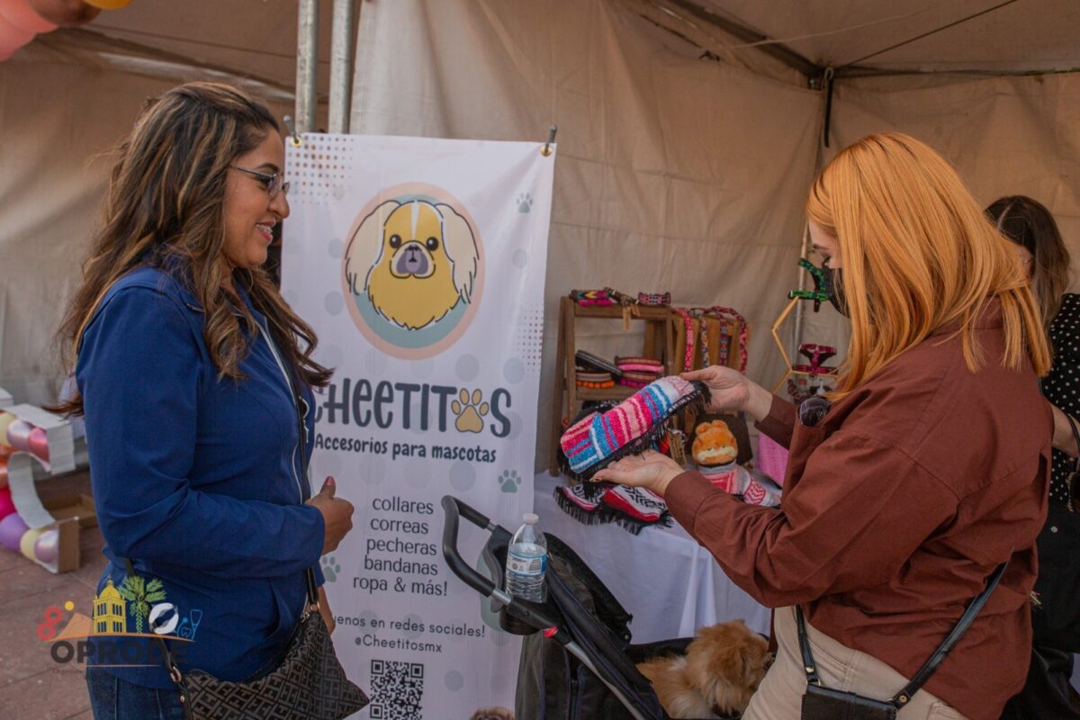 Conforma Oprode el grupo final del Colectivo de Emprendedores