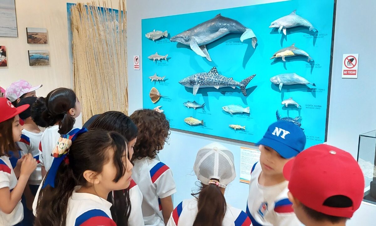 Promueve Cultura actividades y visitas guiadas en Museo Regional