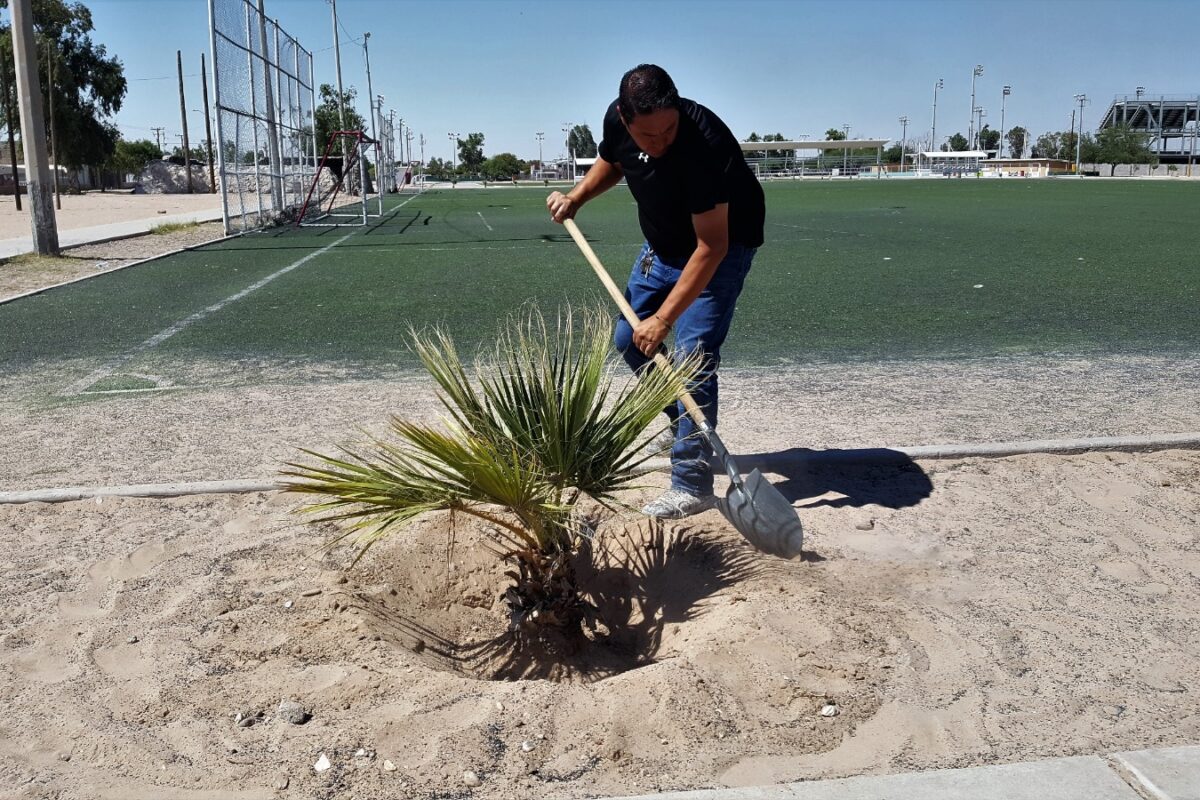 Dan mantenimiento a espacios públicos deportivos de SLRC
