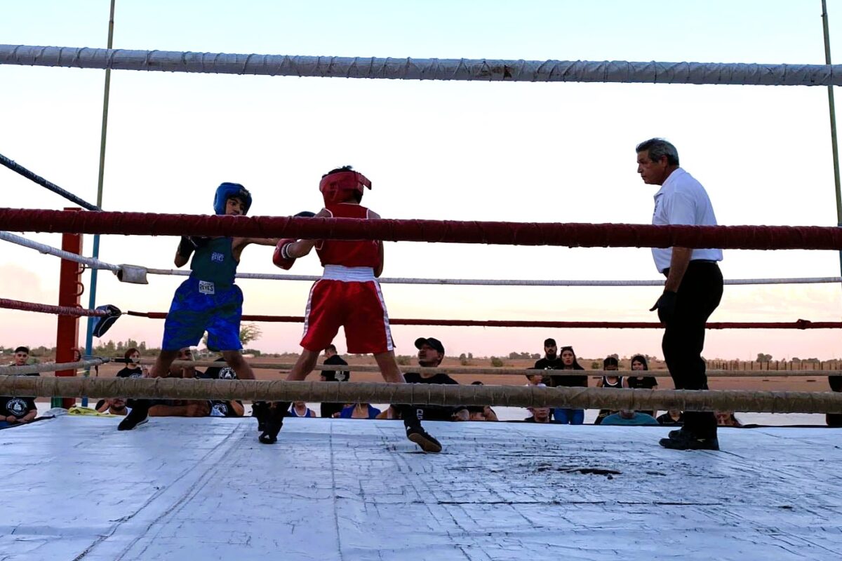 Invitan a Torneo de Box Amateur de Independencia este viernes