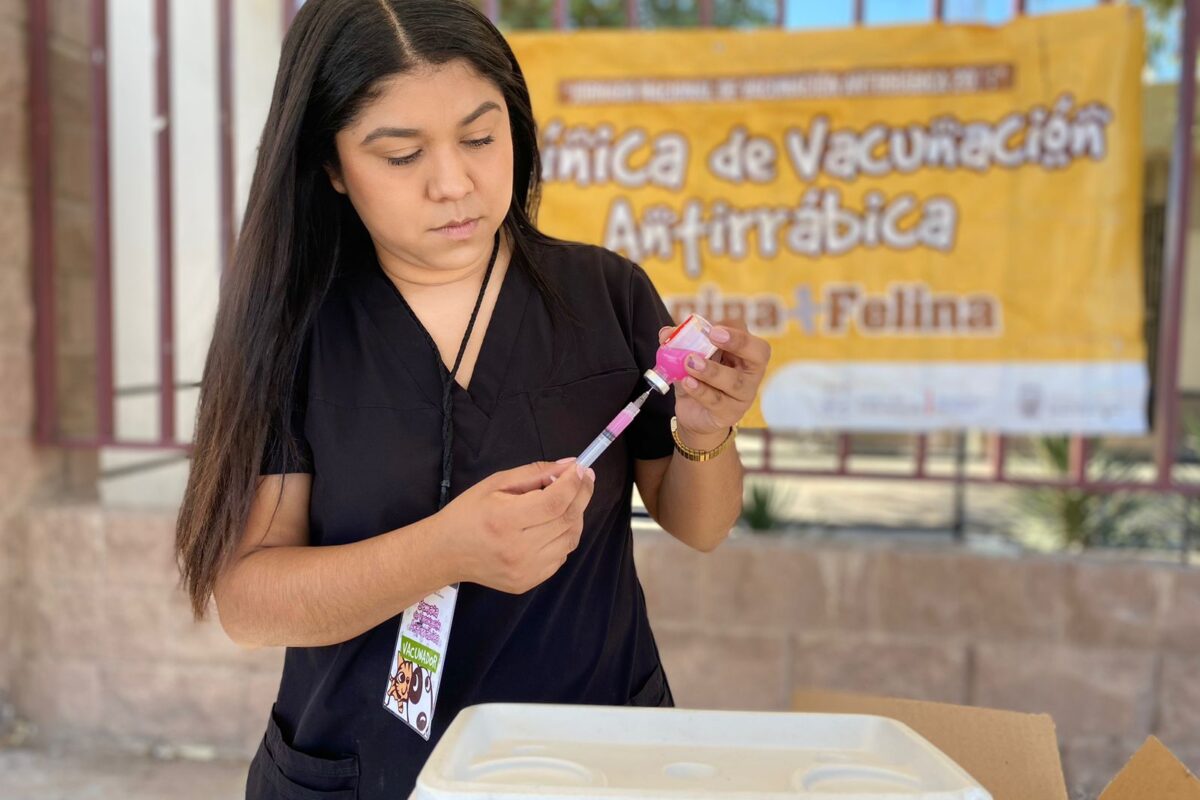 Arranca Jornada Nacional de Vacunación Antirrábica en SLRC