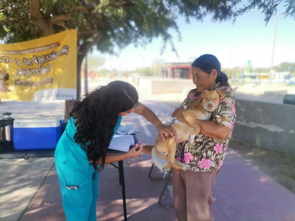 Termina jornada antirrábica con 723 mascotas vacunadas