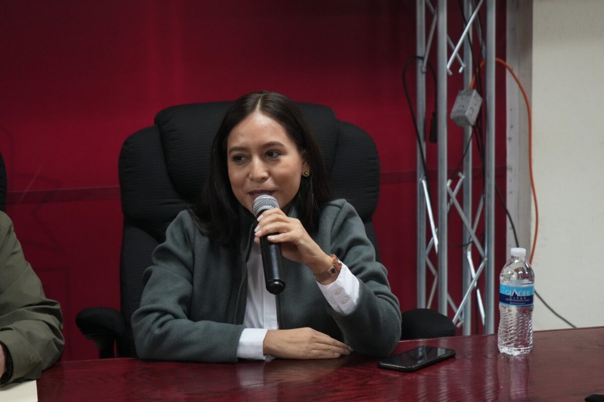 Pintemos juntos sonrisas a nuestros niños sanluisinos: DIF