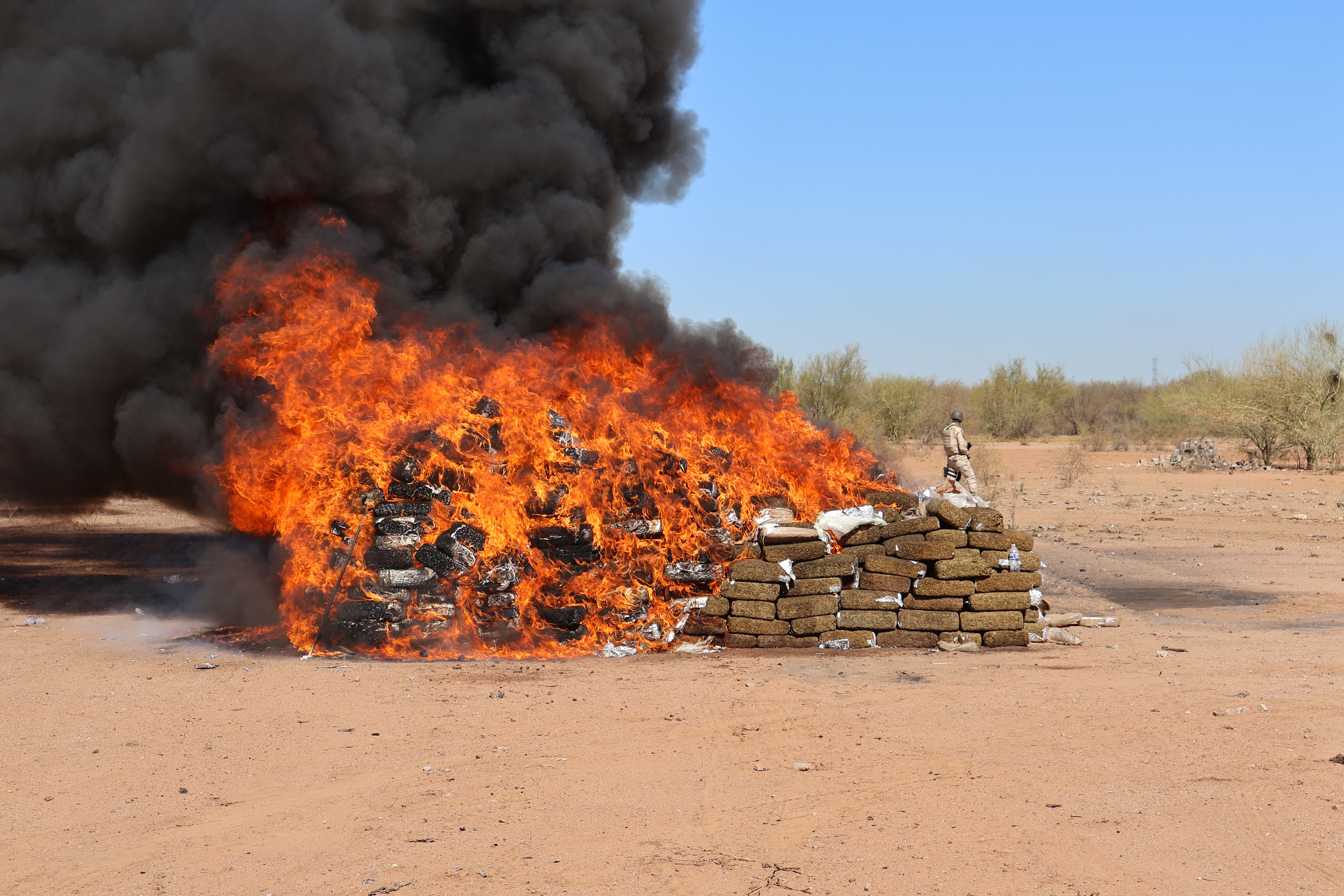 INCINERA FGR MÁS DE DOS TONELADAS Y MEDIA DE NARCÓTICOS EN HERMOSILLO, SONORA