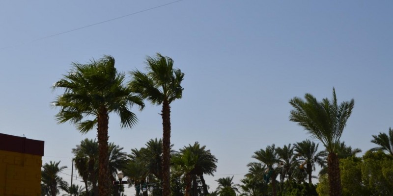 Pronostica PC ingreso de Frente Frío No. 40 con vientos