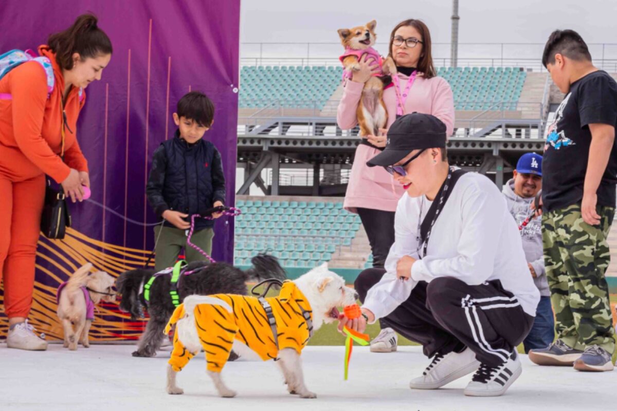 Habrá concurso de disfraces de mascotas en Pet Fest 2024