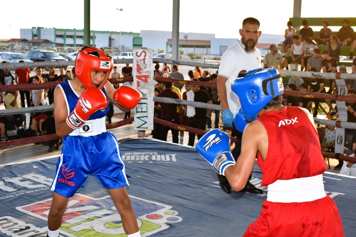 Todo listo para el Torneo de los Barrios de Box Amateur