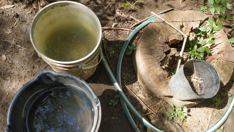 Una mala higiene propicia riesgo por dengue