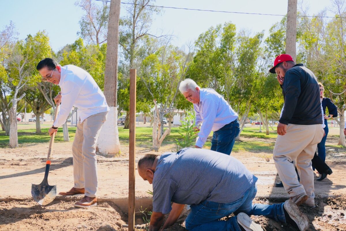Suma Ayuntamiento 127 árboles plantados en la ciudad