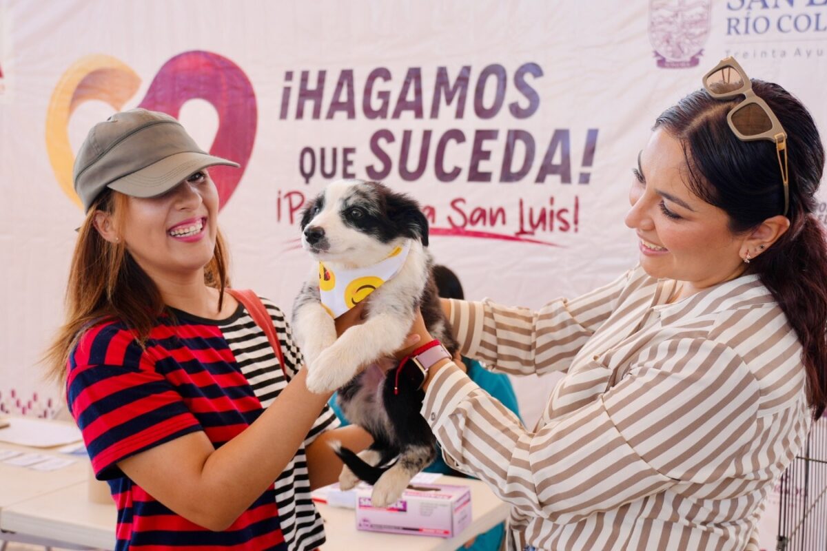 Inicia Salud Pública Campaña de Adopción Canina 2024