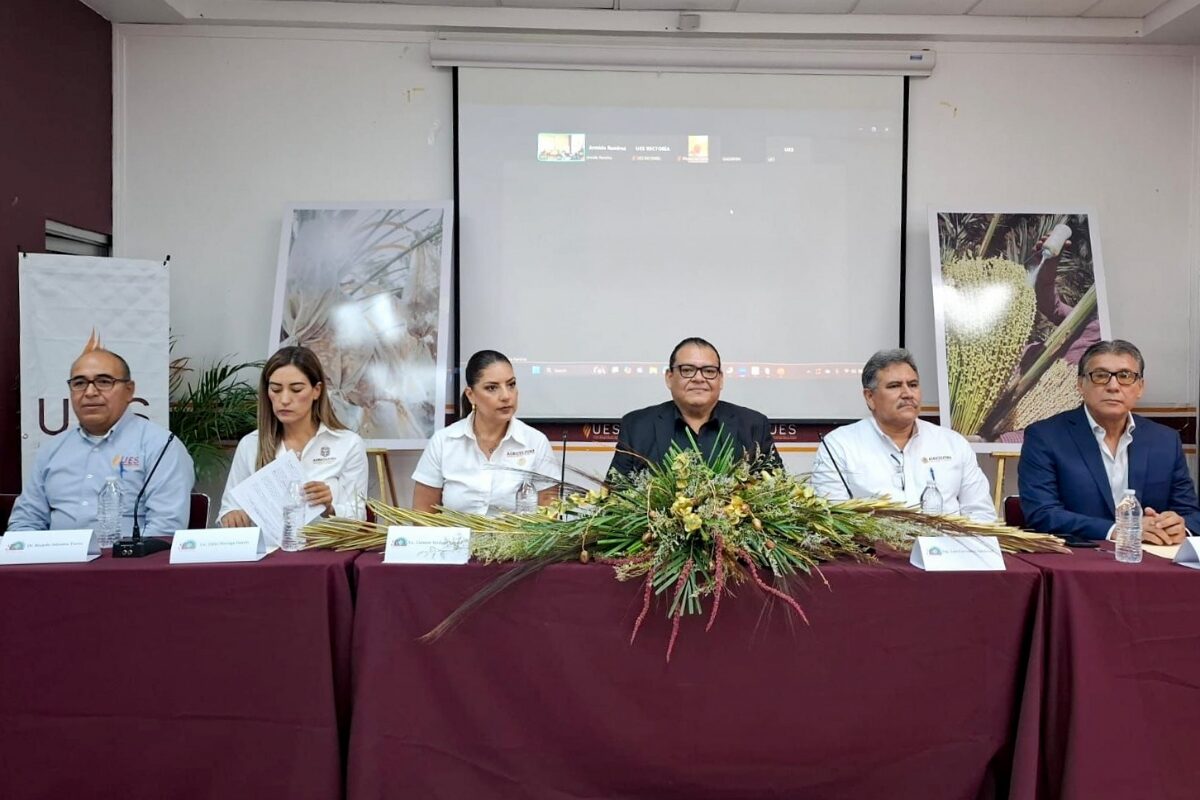 Organiza UES Tercer Festival Internacional de la Palma Datilera en México